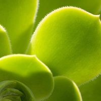 MatTulsi Dch's Photo