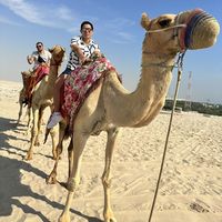 Giovanny Todd's Photo