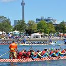 37th Annual Toronto International Dragon Boat Race's picture
