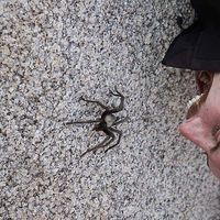 Trevor Willits's Photo