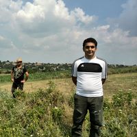 mohammad Tehrani's Photo