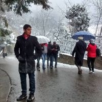 saha sharan的照片