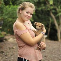 Pluggy Wood的照片