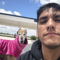 Lux Vernengo的照片