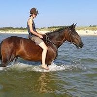 Anne  Wögens's Photo