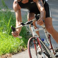 pierpaolo  flowers的照片