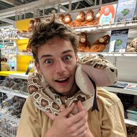 Fotos de Robert Dasovic