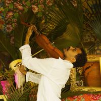 João Felipe da Fraga's Photo