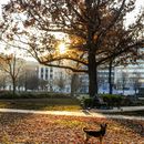 Just a Chai in the Park's picture