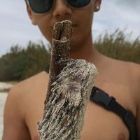 Aaron Sillas的照片