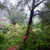 Daniela Merlo's Photo