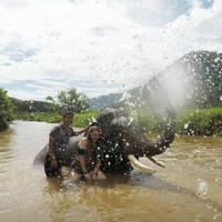 karina rodriguez的照片