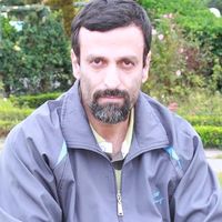 Hamidreza Maleki的照片