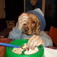 Marvin Diaz Mejia's Photo