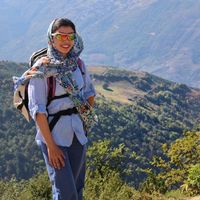 latife sarafraz的照片