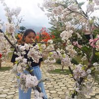 Photos de Myell  ✨