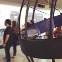 David O. Ary's Photo