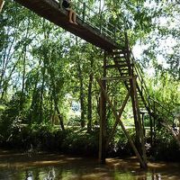 Michaela Gonzalez Madrid's Photo