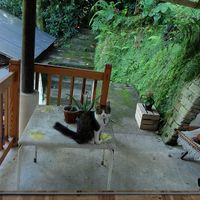 Mariemma Escorcia的照片