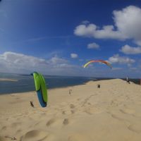 Alina Reinartz's Photo