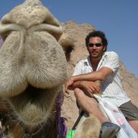 Davidie Vermeulen's Photo