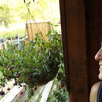 Judy Bankman的照片