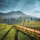 Jakarta To Pengalengan (Bandung) Short Trip's picture