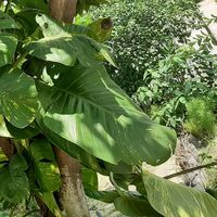 Fotos von Gurpreet singh