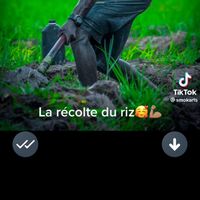 Bathie Samba Barro's Photo