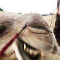 Agnese Colpani的照片