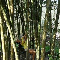 Fotos de Sandy Carrera