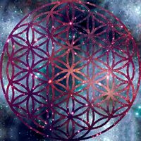 Beatrice Tomassi's Photo