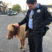 Ryan Morgan的照片