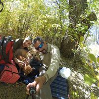 shahram bagheri的照片