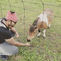 shashank IB的照片