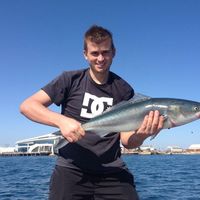 Daniel Loreta's Photo