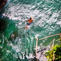 pete mcnicol的照片