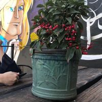 safa sawalha的照片