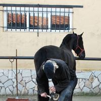 Ton Esenkbrink的照片