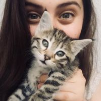 Gülşen Türkeç的照片