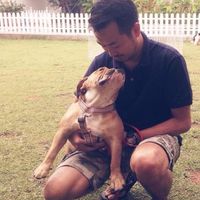 Photos de Arya Pradana