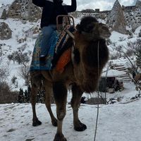 Daniele Lombardo的照片