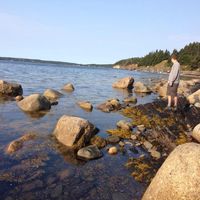 Adam DeMedeiros's Photo