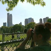 Diane Le Roux的照片