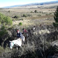 Fotos de Cabalgatas Seba