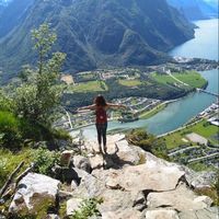 Pion Charlotte的照片