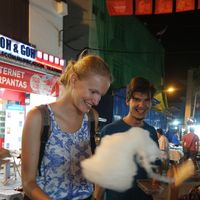 Lisa Rostock的照片