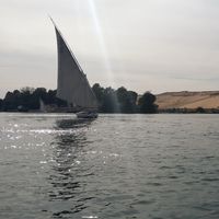 Mahmoud  Samy's Photo