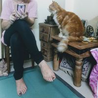 Giovanna Joglekar的照片