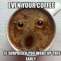 Mario Sorribes's Photo